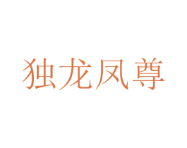 独龙凤尊 商标图样
