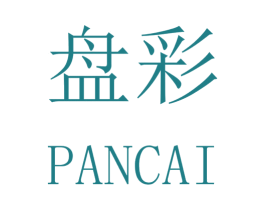 盘彩 商标图样