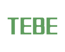 TEBE 商标图样