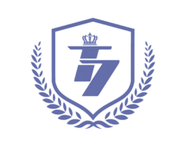 T 7 商标图样
