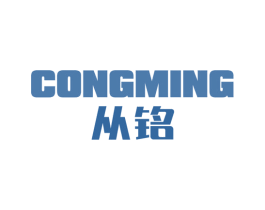 从铭 商标图样