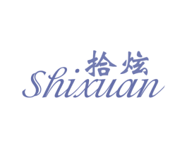 拾炫 商标图样