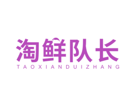 淘鲜队长 商标图样