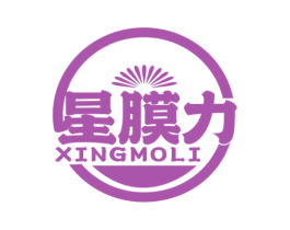 星膜力 商标图样
