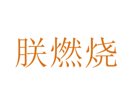 朕燃烧 商标图样
