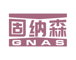 固纳森 GNAS 商标图样