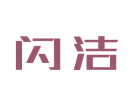 闪洁 商标图样