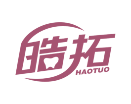 皓拓 商标图样