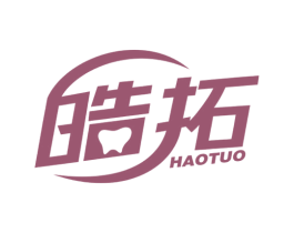 皓拓 商标图样