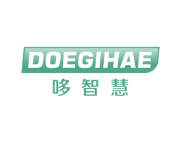 哆智慧 DOEGIHAE 商标图样