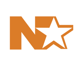N 商标图样