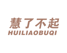 慧了不起 商标图样