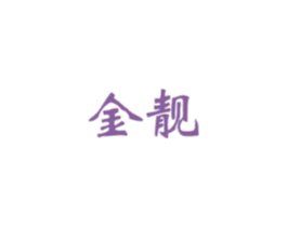 金靓 商标图样
