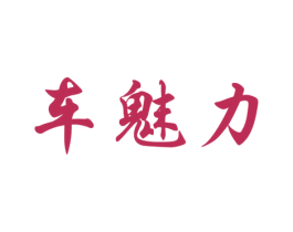 车魅力 商标图样