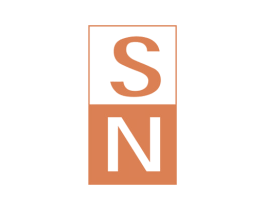SN 商标图样