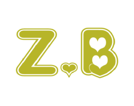 Z.B 商标图样