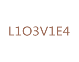 L1O3V1E4 商标图样