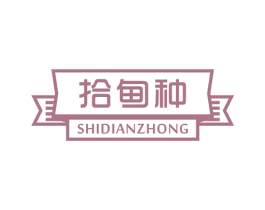 拾甸种 商标图样