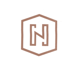 N 商标图样