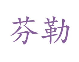 芬勒 商标图样