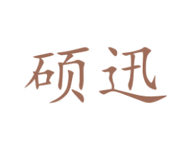 硕迅 商标图样