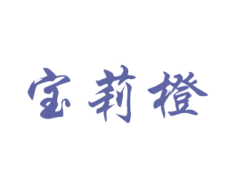 宝莉橙 商标图样