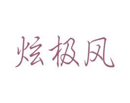 炫极风 商标图样