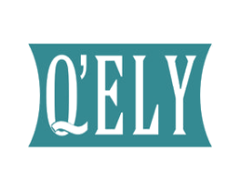 Q'ELY 商标图样