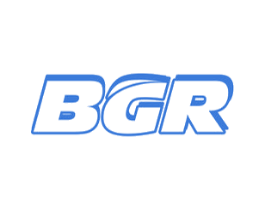 BGR 商标图样