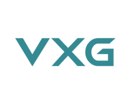 VXG 商标图样