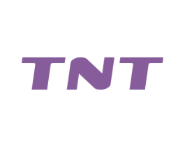 TNT 商标图样