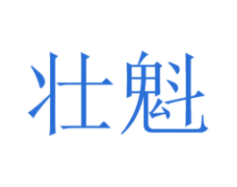 壮魁 商标图样