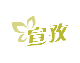 宣孜 商标图样