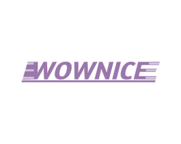 WOWNICE 商标图样