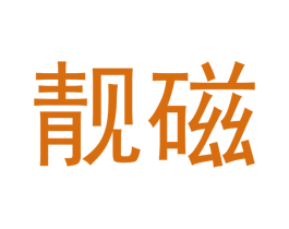 靓磁 商标图样
