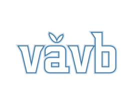 VAVB 商标图样