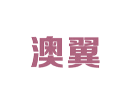 澳翼 商标图样