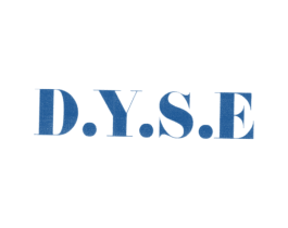 D.Y.S.E 商标图样