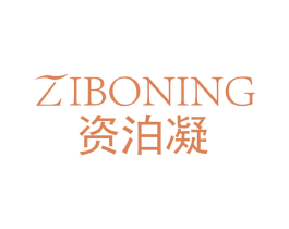 资泊凝 商标图样