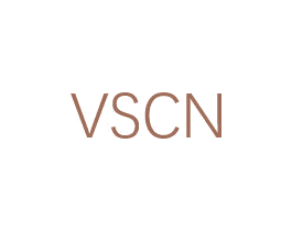 VSCN 商标图样