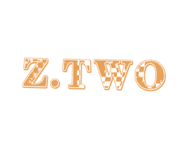 Z.TWO 商标图样