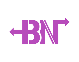 BN 商标图样