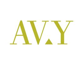 AV.Y 商标图样