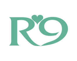 R9 商标图样