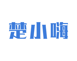 楚小嗨 商标图样