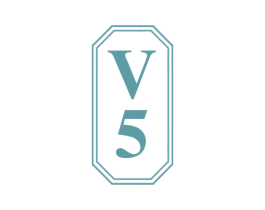 V 5 商标图样