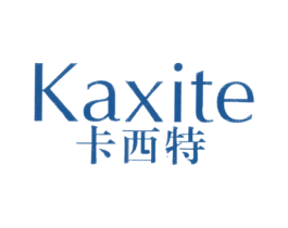卡西特 商标图样