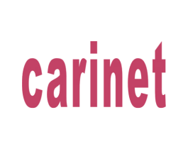 CARINET 商标图样