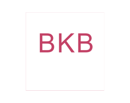 BKB 商标图样