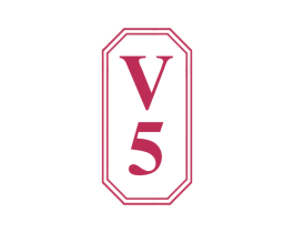 V 5 商标图样